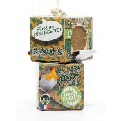 NAOTY – Coffret Cube Oiseaux du ciel (x12) – 1200 g