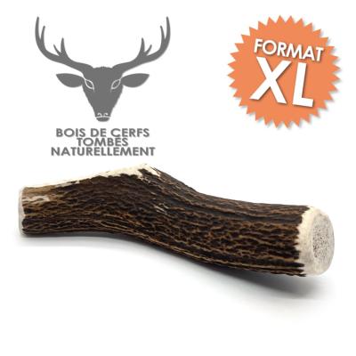 Bois de cerf - Friandise taille XL à mâcher 