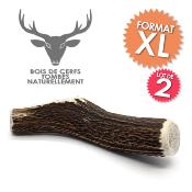 LOT DE 2 - Bois de cerf - Friandise taille XL à mâcher 